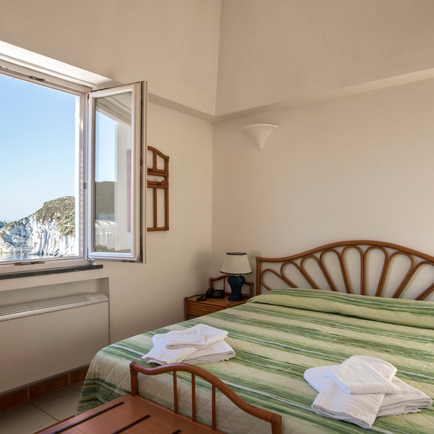Standard double room