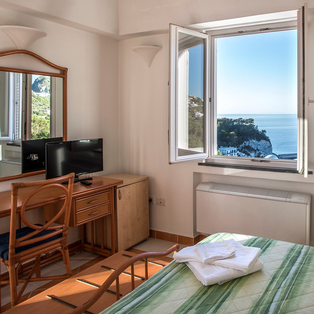 Standard double room