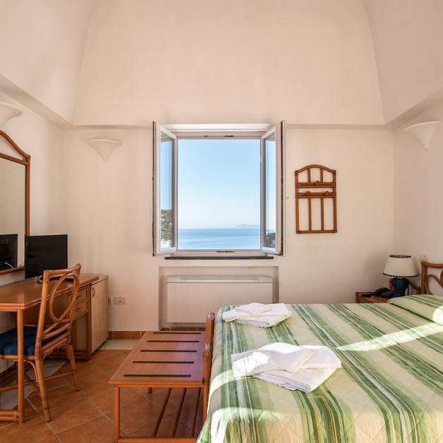 Standard double room